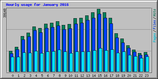 Hourly usage for January 2016